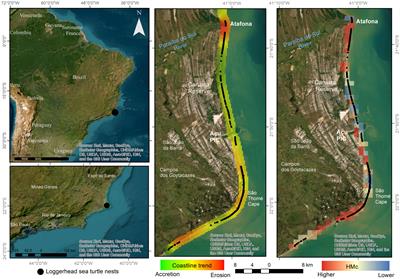 Do costal erosion and urban development threat loggerhead sea turtle nesting? Implications for sandy beach management